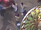 Please kill these noisy fuckwads.